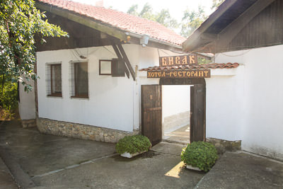 example-image