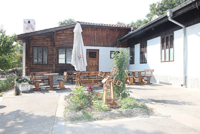 example-image